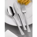 Cutit steak inox 22cm Hepp linia Premium