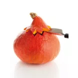 Cutit decorare fructe 21cm Professional
