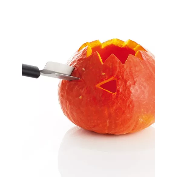 Cutit decorare fructe 21cm Professional