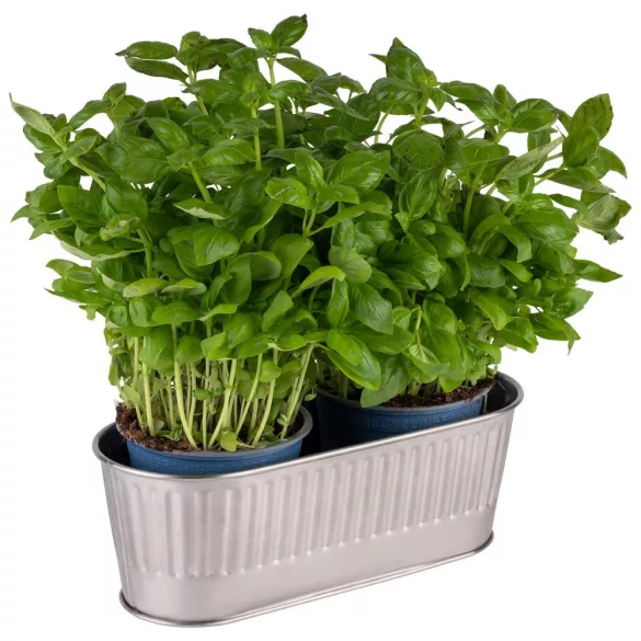 Suport tacamuri inox Utensilo gri