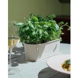 Suport tacamuri inox Utensilo alb