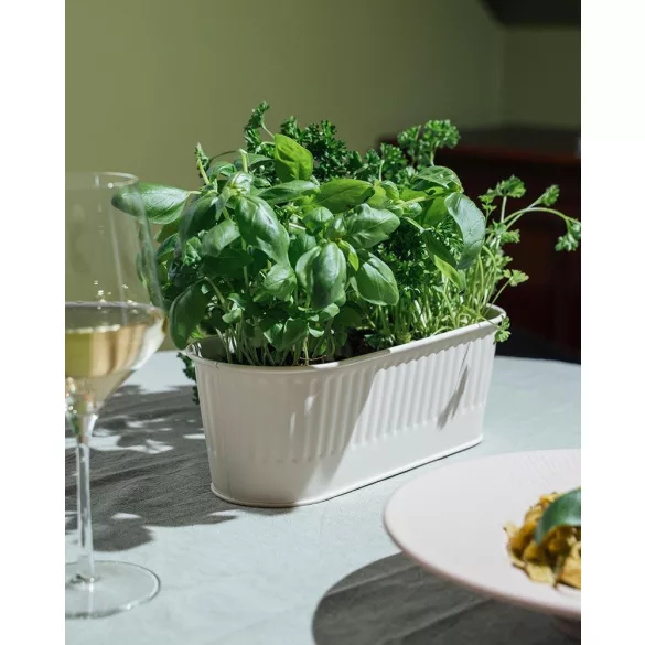 Suport tacamuri inox Utensilo alb