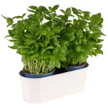 Suport tacamuri inox Utensilo alb