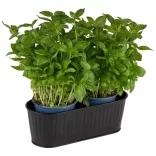 Suport tacamuri inox Utensilo negru