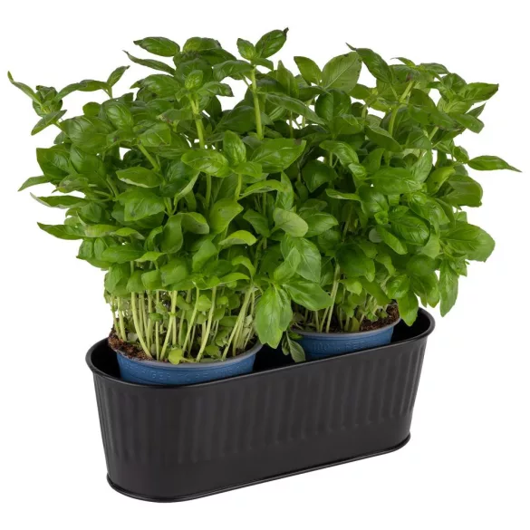 Suport tacamuri inox Utensilo negru