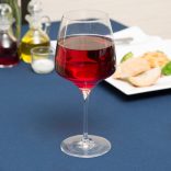 Pahar vin rosu Burgundy 695ml Stolzle linia Experience
