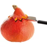 Cutit decorare fructe 20.5cm