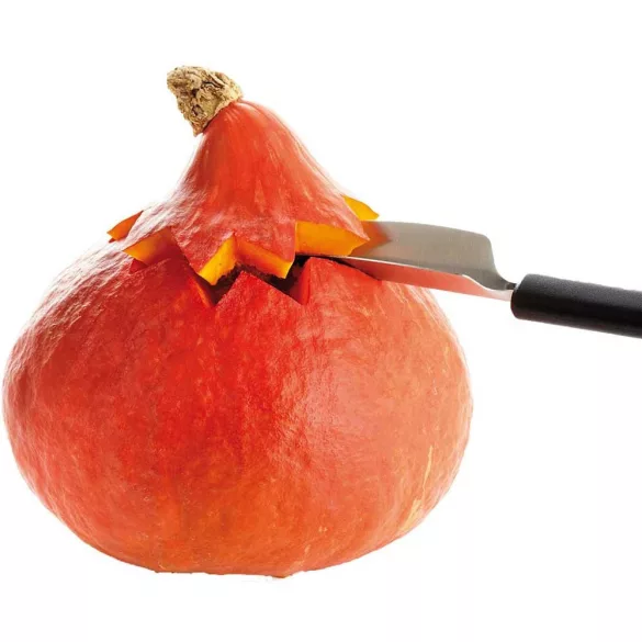 Cutit decorare fructe 20.5cm
