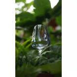 Pahar vin rosu 609ml Stolzle linia Cocoon