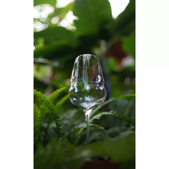 Pahar vin rosu 609ml Stolzle linia Cocoon
