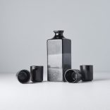 Set Sake 5 piese MIJ Gunmetal