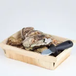 Cutit stridi 14.5cm